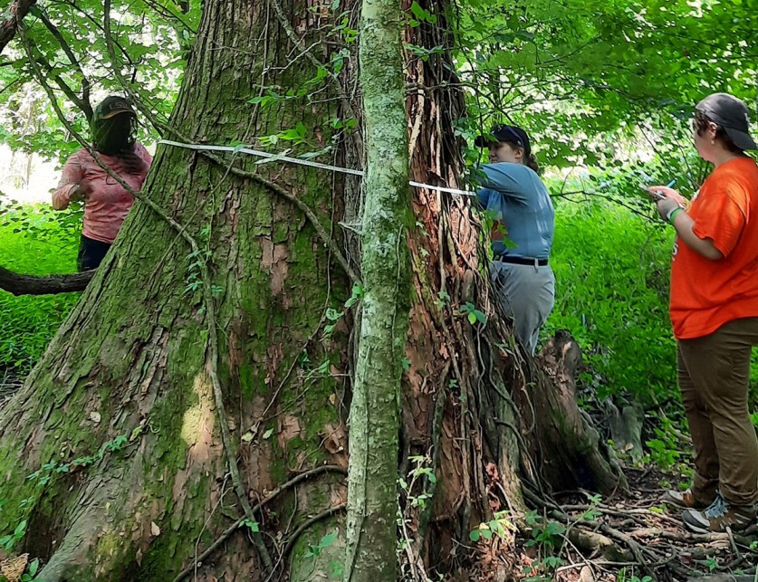Plaquemine Point Faces Imminent Threat TCLF